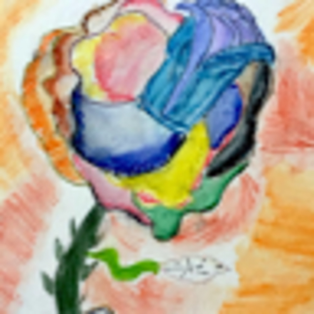 Meet your Posher, Sandy